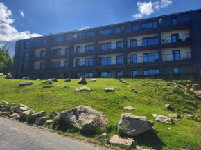 Apartament Turkusowy IzerSKI Resort